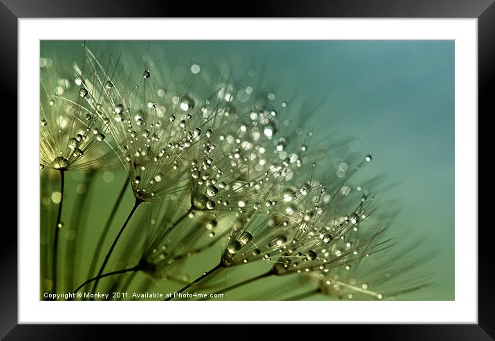 Sparkling Water Droplets Framed Mounted Print by Anthony Michael 