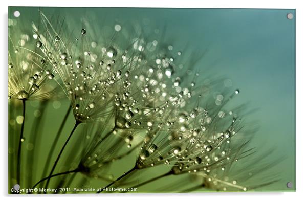 Sparkling Water Droplets Acrylic by Anthony Michael 