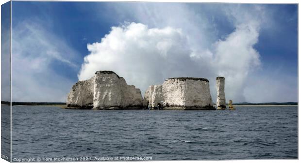 Old Harry Rocks Canvas Print by Tom McPherson