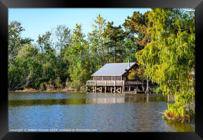 Cabin at Lake Fausse Pointe in Louisiana Framed Print by William Morgan