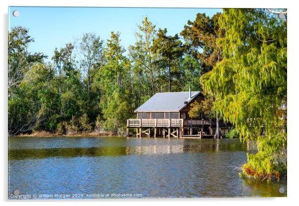 Cabin at Lake Fausse Pointe in Louisiana Acrylic by William Morgan