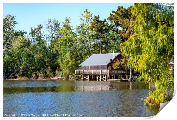 Cabin at Lake Fausse Pointe in Louisiana Print by William Morgan