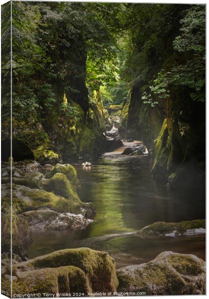 Fairy Glen North Wales Canvas Print by Terry Brooks