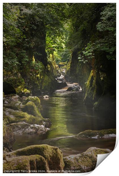 Fairy Glen North Wales Print by Terry Brooks