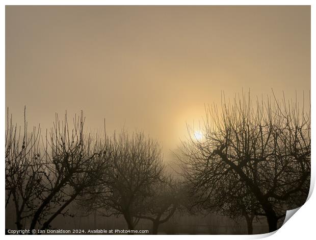 Through the Mist Print by Ian Donaldson