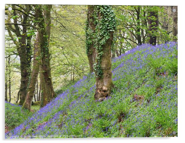 Bluebell Time at Blackbury Camp Devon Acrylic by Susie Peek