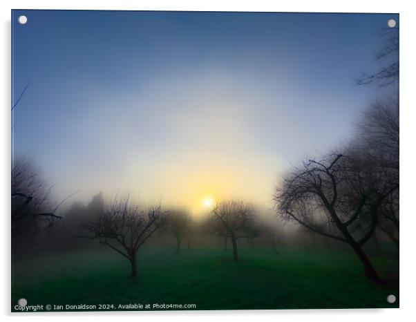 Pale Sun Rising Acrylic by Ian Donaldson