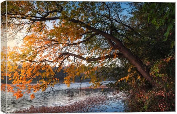 Here comes the autumn on the small lake Canvas Print by Dejan Travica