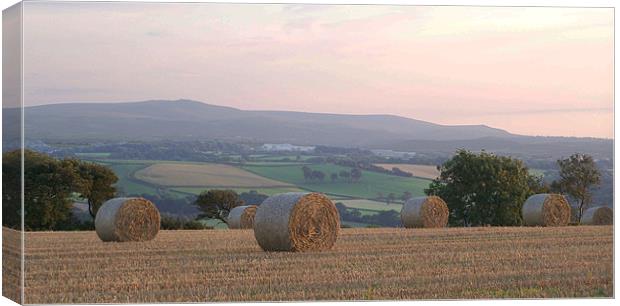 harvest time sunset Canvas Print by Images of Devon
