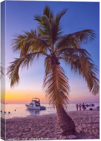 Roatan paradise  Canvas Print by Peter Towle