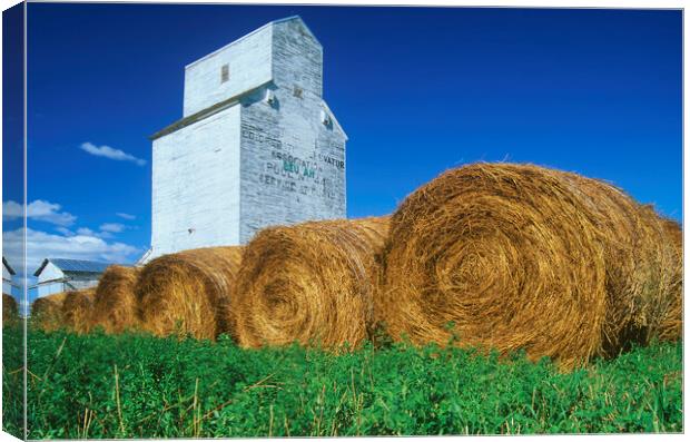 alfalfa bales in front of old grain elevator Canvas Print by Dave Reede