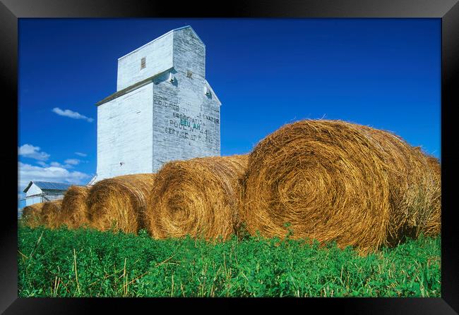 alfalfa bales in front of old grain elevator Framed Print by Dave Reede