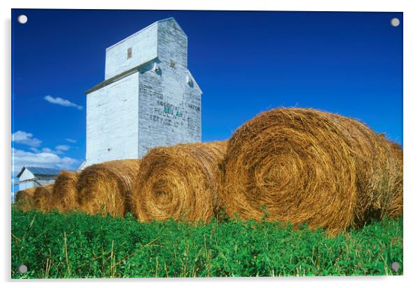 alfalfa bales in front of old grain elevator Acrylic by Dave Reede
