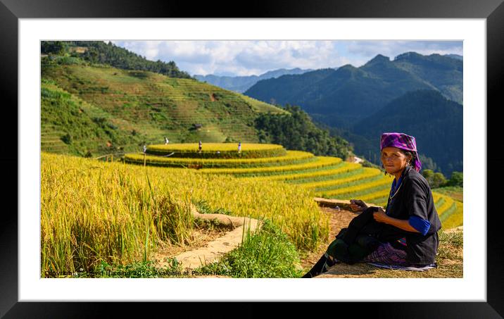 Rice Terraces in NW Vietnam Framed Mounted Print by David Harding