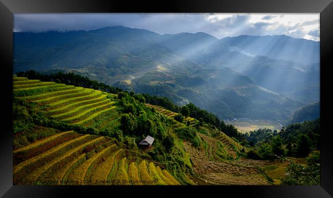 Rice Terraces with Sunlight Rays Framed Print by David Harding