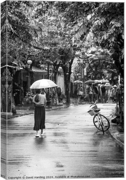 Woman with Umbrella Canvas Print by David Harding