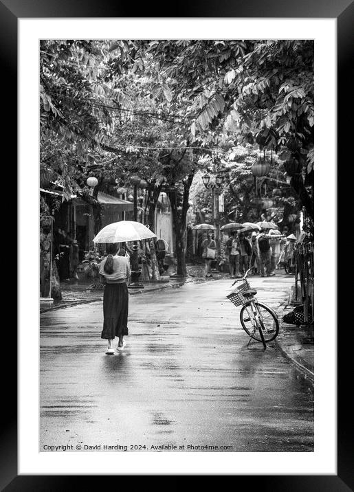 Woman with Umbrella Framed Mounted Print by David Harding
