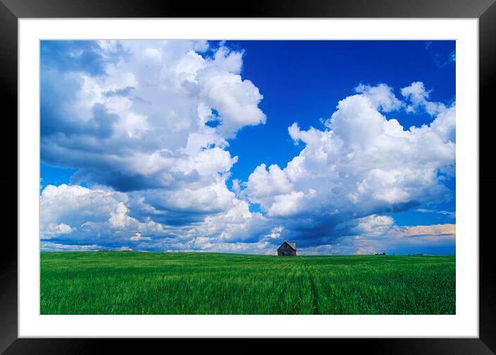 Abandoned Farm House in Wheat Field Framed Mounted Print by Dave Reede