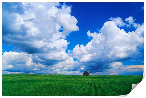 Abandoned Farm House in Wheat Field Print by Dave Reede