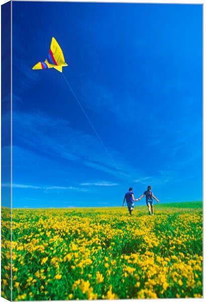 Running With a Kite Canvas Print by Dave Reede