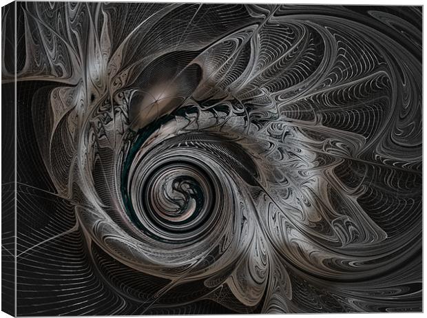 Spiral in Silver Canvas Print by Amanda Moore