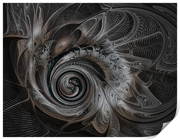 Spiral in Silver Print by Amanda Moore