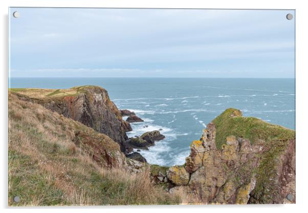 Rocky Shoreline, St Abbs Head, Scottish Borders, Scotland Acrylic by Dave Collins