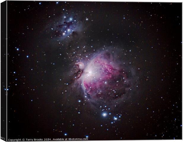 The Great Nebula in Orion M42 Canvas Print by Terry Brooks