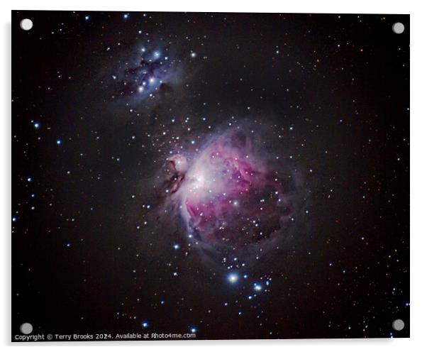 The Great Nebula in Orion M42 Acrylic by Terry Brooks