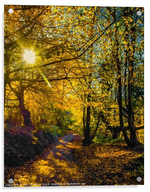 Sun shining through the autumn trees  Acrylic by Neil McKenzie