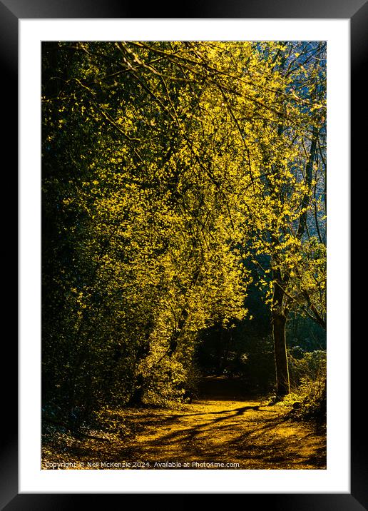 Summer walk  Framed Mounted Print by Neil McKenzie