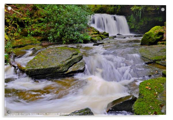 Autumn Woodland Waterfall Acrylic by Terry Brooks