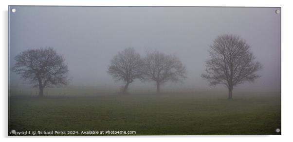 Foggy February Days Acrylic by Richard Perks
