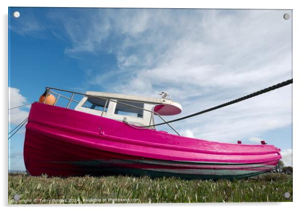 Old Pink Boat Penclawdd Gower Acrylic by Terry Brooks