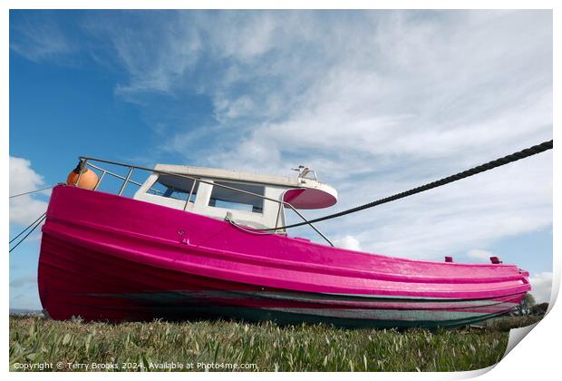 Old Pink Boat Penclawdd Gower Print by Terry Brooks