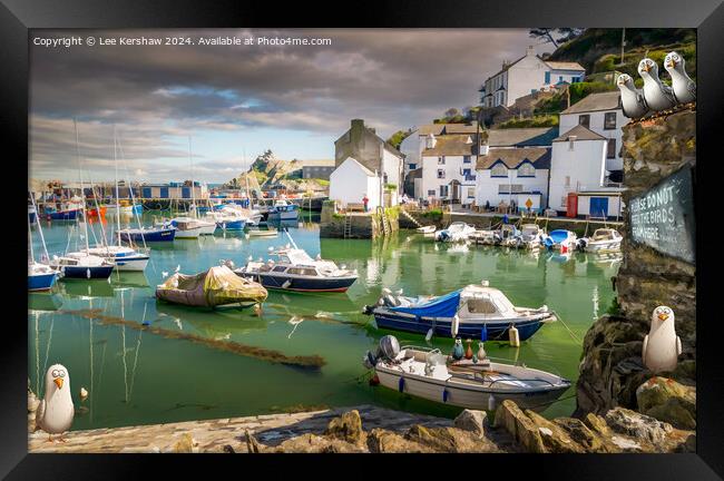 Don't Feed the Birds (Polperro) Framed Print by Lee Kershaw