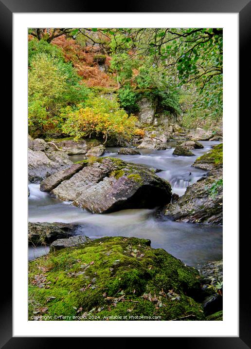 RSPB Gwenffrwyd Dinas Woodland River Framed Mounted Print by Terry Brooks