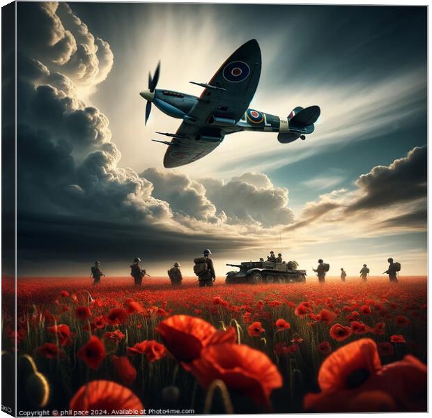 The Battle Field 2 Canvas Print by phil pace