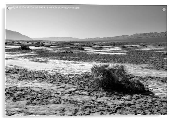 The barren landscape of Death Valley (mono) Acrylic by Derek Daniel