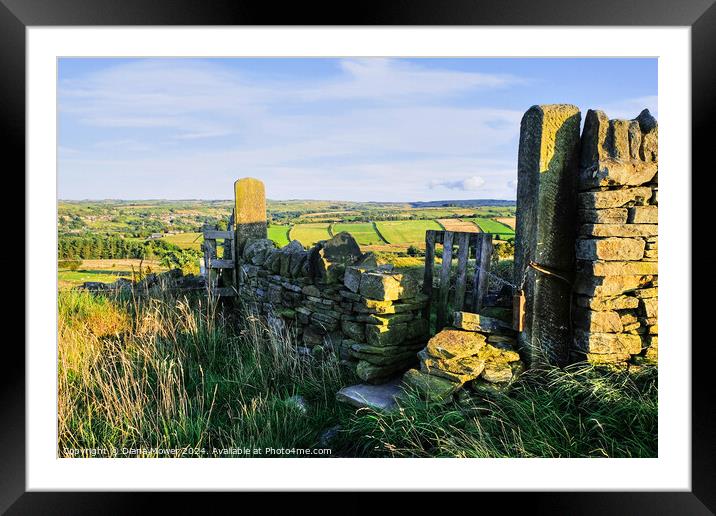 Footpath near Holmfirth Framed Mounted Print by Diana Mower