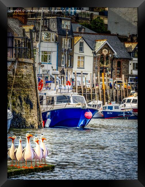 West Looe Quayside with the Pesky Birds Framed Print by Lee Kershaw