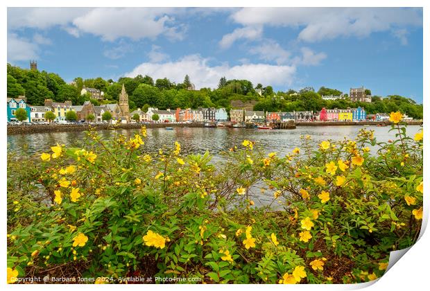Summer Flowers Tobermory Isle of Mull Scotland Print by Barbara Jones