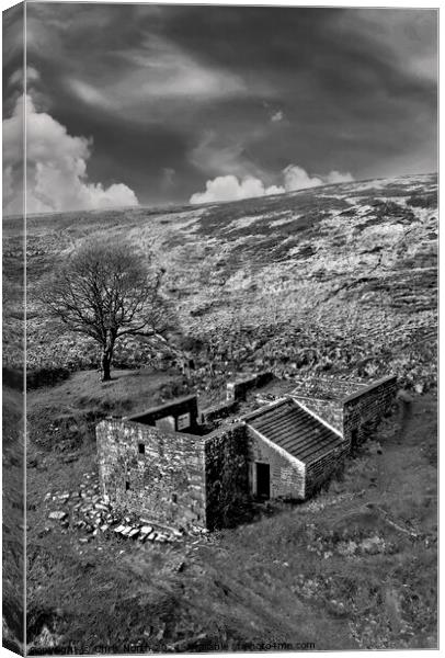 Wuthering Heights, ruined farmhouse Canvas Print by Chris North