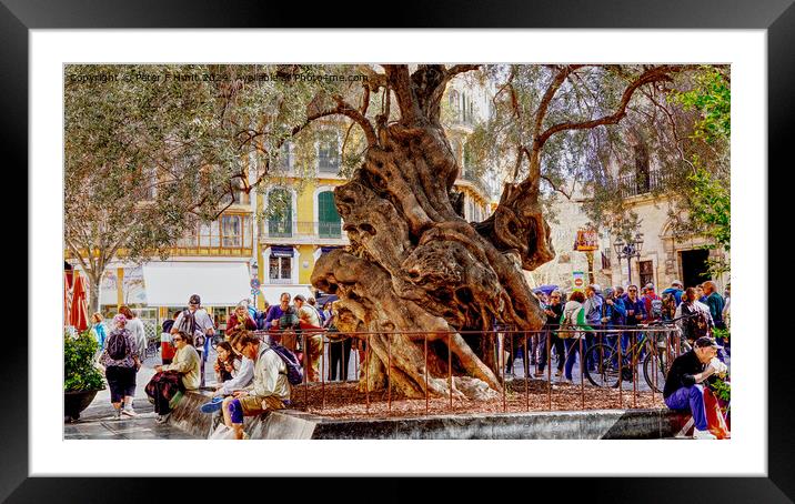 Palma Mallorca The Old Olive Tree Framed Mounted Print by Peter F Hunt