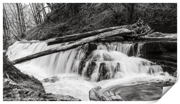 Fallen tree over the water Print by Oleg Fursa