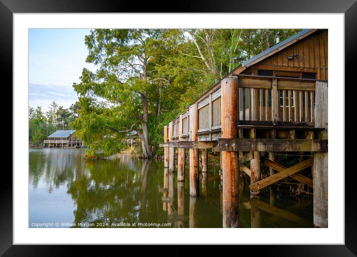 Cabins and Trees along Lake Fausse Pointe in Louisiana, USA Framed Mounted Print by William Morgan