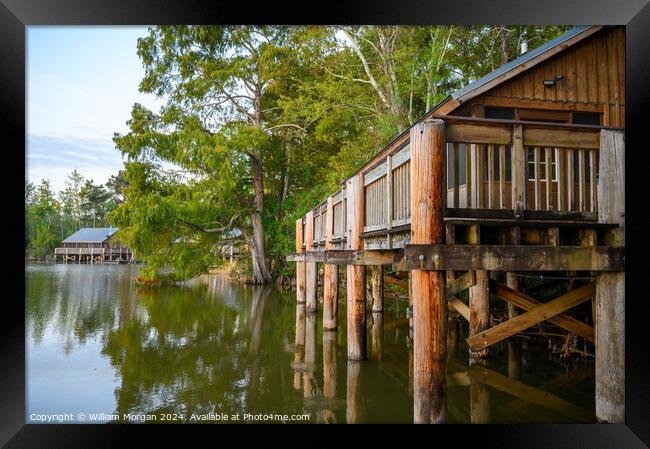 Cabins and Trees along Lake Fausse Pointe in Louisiana, USA Framed Print by William Morgan