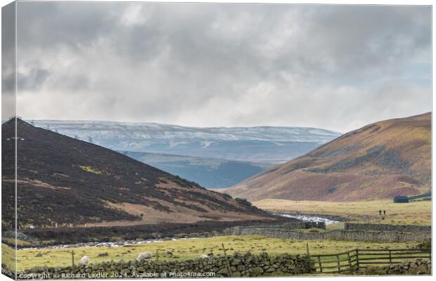 Heading for Widdybank Farm, Upper Teesdale Canvas Print by Richard Laidler