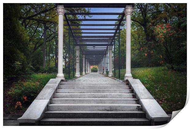 Stairs to the villa of Queen Mary on Oplenac in Topola in Serbia Print by Dejan Travica