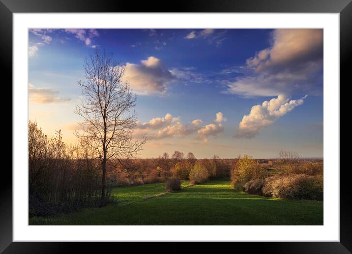 The first signs of spring in the field Framed Mounted Print by Dejan Travica